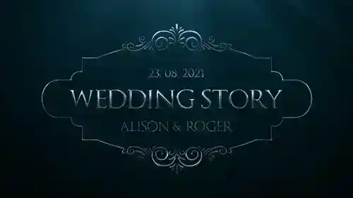 银婚头衔AE模板