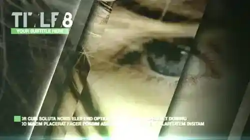 优雅玻璃镜像电子相册AE模板