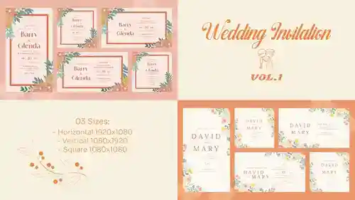 印度风情婚礼邀请函AE模板 - 璀璨盛典