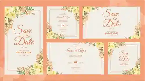 After Effects婚礼竖版邀请函模板 - 极致印度风情