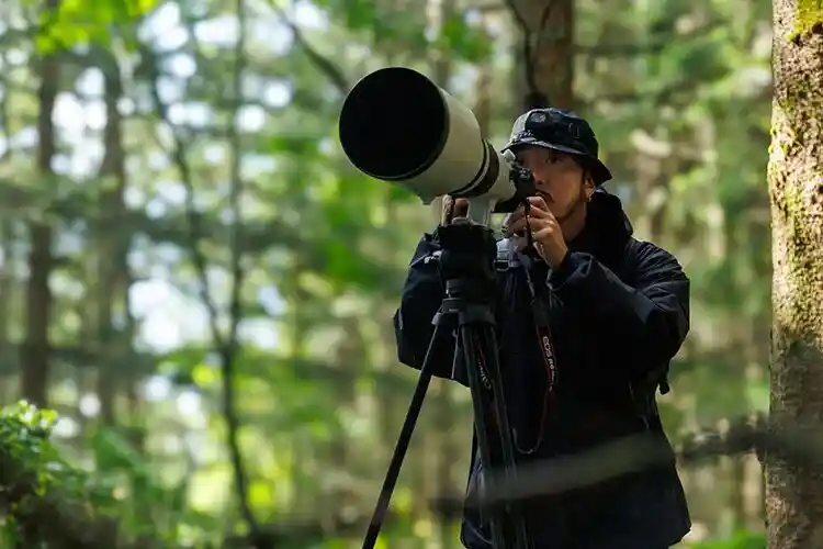 Canon R6 Mark III 来了！这还叫中阶机？简直是迷你电影机！