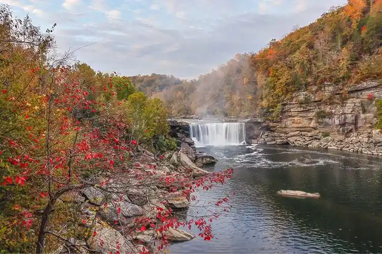 Canon R6 Mark III 来了！这还叫中阶机？简直是迷你电影机！