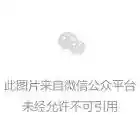 DeepSeek V3.2 正式发布：开启“思考＋工具调用”新时代