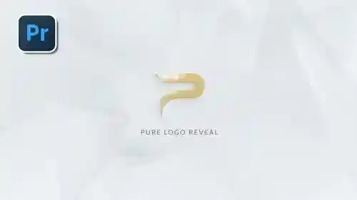 Pure Logo - 专业级动态LOGO展示模板