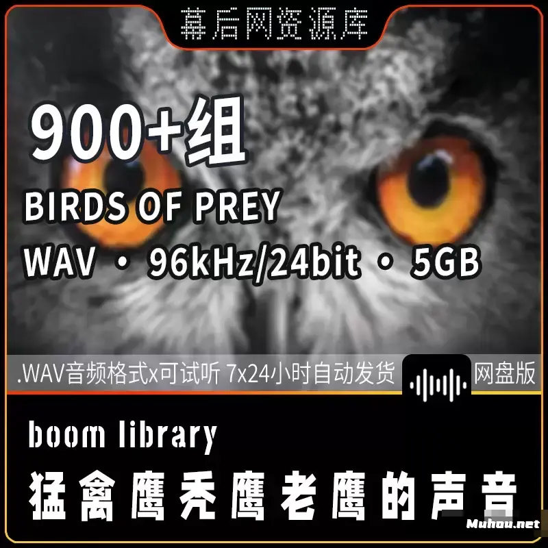 Birds Of Prey鹰乌鸦鹦鹉等大型鸟类猛禽音效