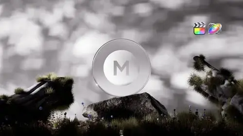 超现实性质标志真实黑白FCPX模板