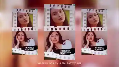 垂直回忆春季生日和周年纪念AE视频