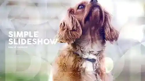 简单的幻灯片/浪漫的回忆/相册/圆圈过渡AE视频