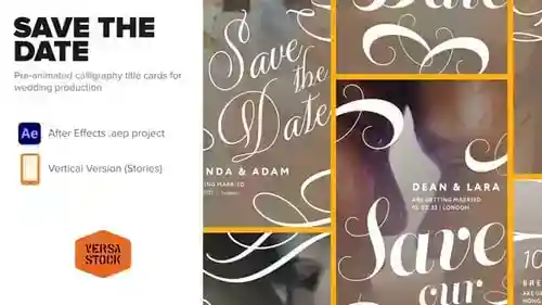 优雅保存日期婚礼公告故事公告卡AE视频