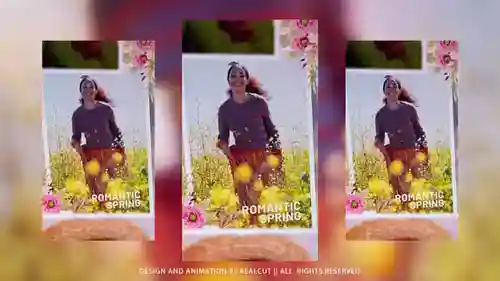 垂直蒙太奇和3d幻灯片AE视频