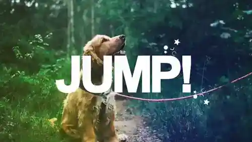 照片蒙太奇和动态画面AE视频