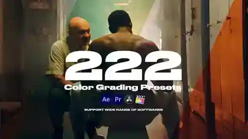 222套用于专业视频编辑的电影色彩分级达芬奇模板