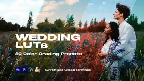电影婚礼彩色LUTs Pack婚礼达芬奇模板