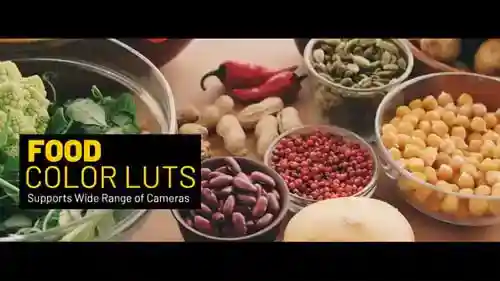 用于电影色彩分级的专业食品视频lut达芬奇模板