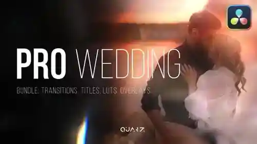 优雅的婚礼过渡标题lut打包合集达芬奇模板