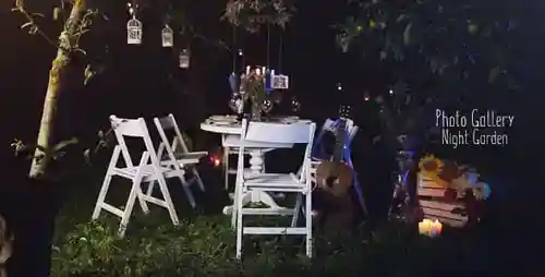 图片库-夜花园视频展示美丽的蜡烛AE视频