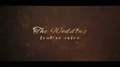 婚礼大亚视频