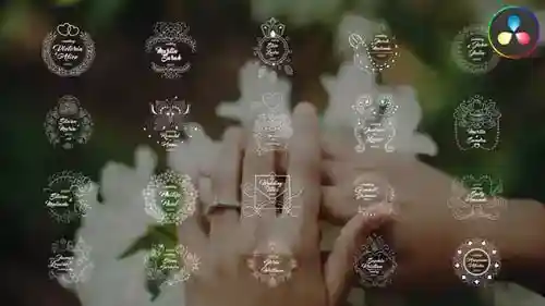 优雅的书法婚礼标题包，带有动画的繁荣，标题英尺。婚礼和动画达芬奇模板