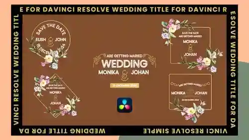 婚礼标题达芬奇解决，标题英尺。抽象艺术和噪音与达芬奇解决达芬奇模板兼容