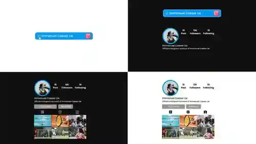Instagram搜索个人资料结果达芬奇解决，元素金融时报。instagram和个人资料显示与达芬奇解决达芬奇模板兼容